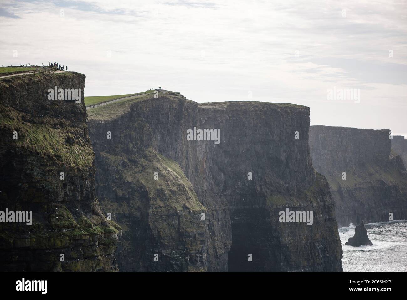 Scogliere di Moher, scogliere in Irlanda Foto Stock