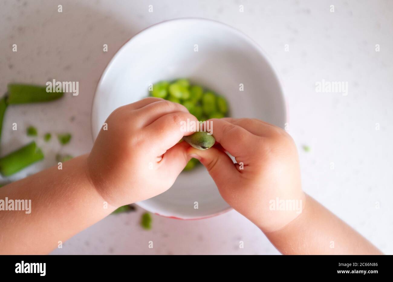 Giovane ragazza di 3 anni che scopa fagioli coltivati a casa appena raccolti - Vicia faba - pronta per la cottura fotografia presa da Simon Dack Foto Stock