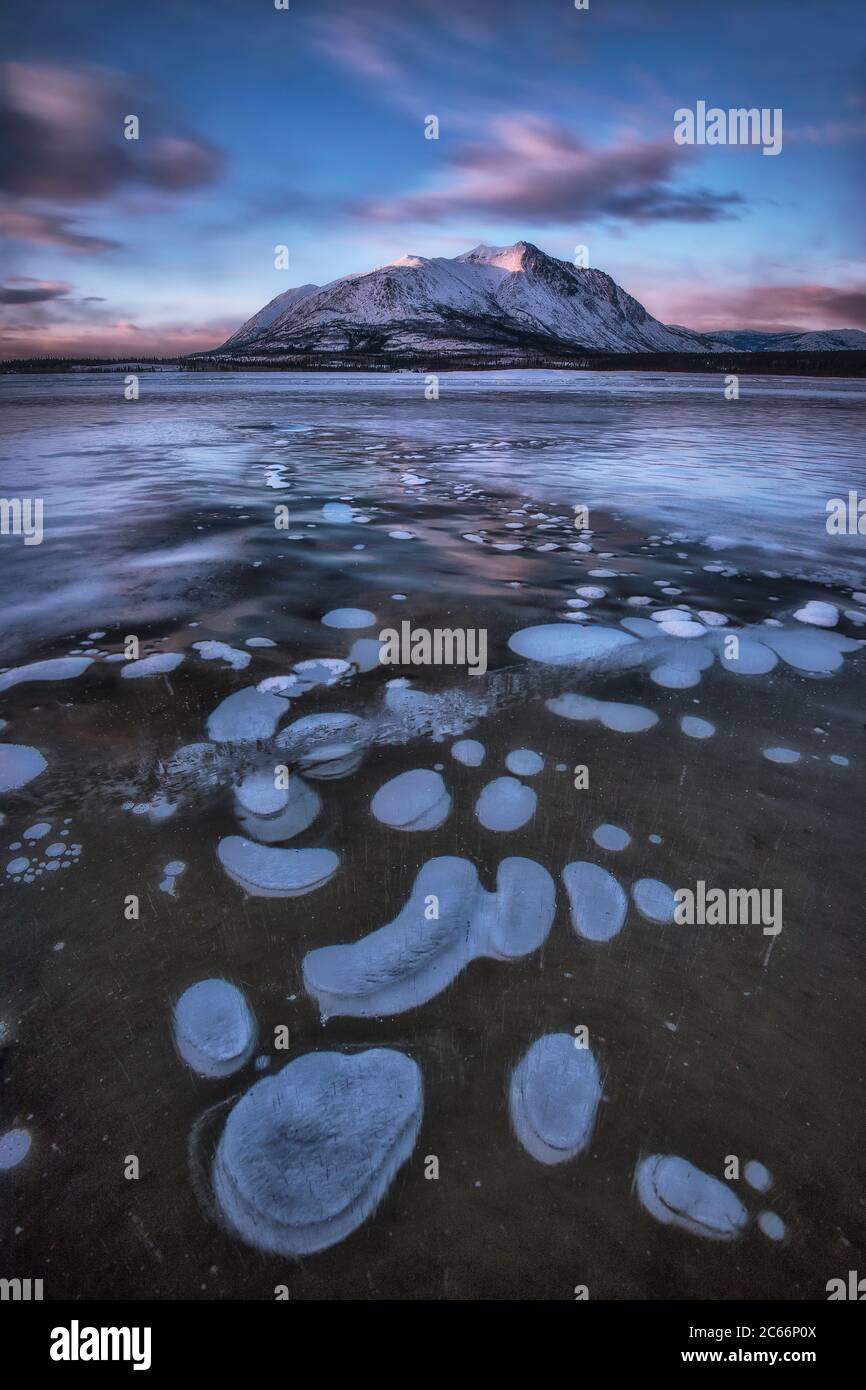 Paesaggio invernale in Yukon Territory, Canada Foto Stock