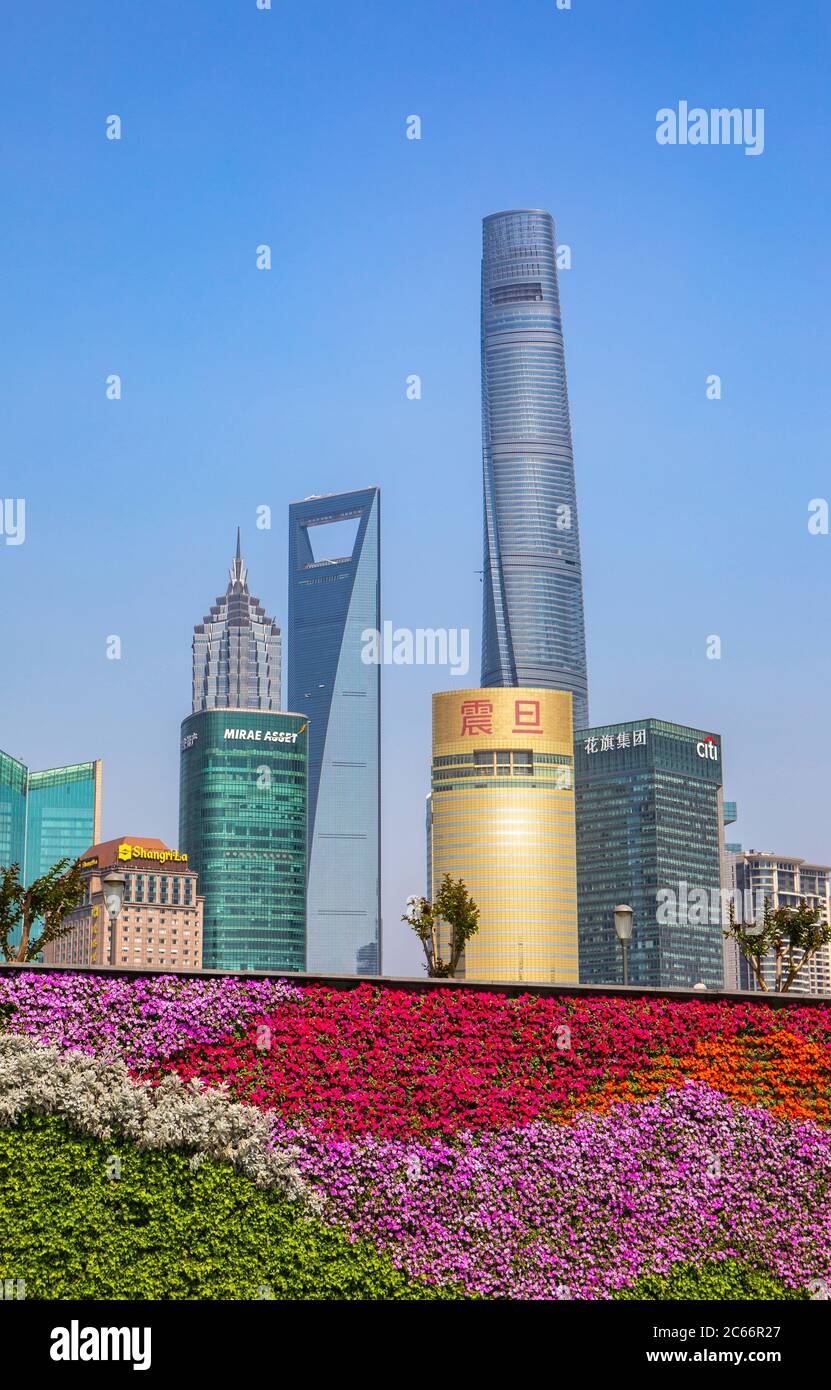 Cina, Shanghai City, quartiere di Pudong, zona di Lujiazui, edificio Jin Mao, World Financial Center e Shanghai Tower, fiori sospesi Foto Stock