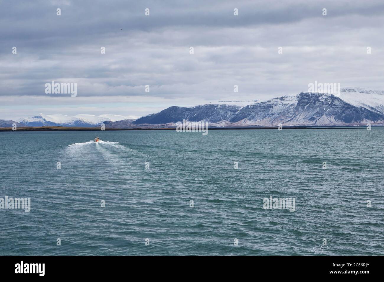 Islanda, porto di Reykjavik, Boattour, avvistamento di balene, barca e montagne in lontananza Foto Stock