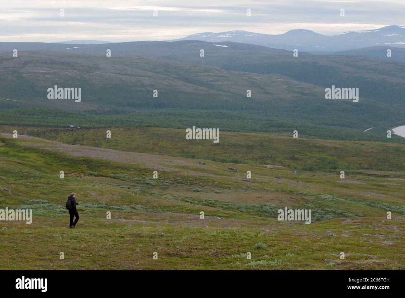 Escursioni sulle campane, Lapponia, Finlandia Foto Stock