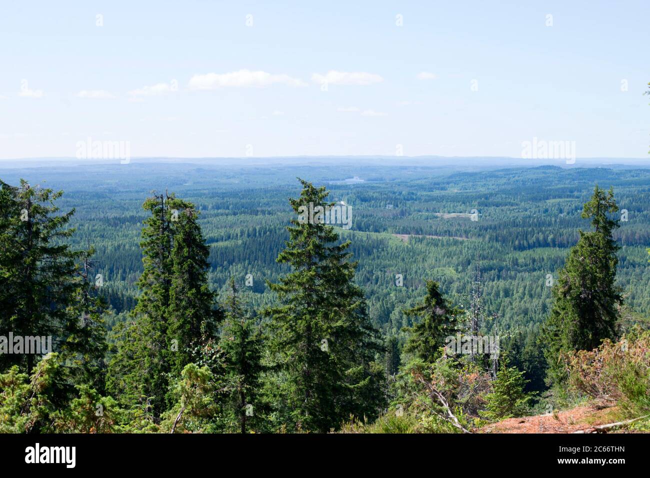 Paesaggio Nazionale, Parco Nazionale di Koli, regione della Carelia del Nord della Finlandia Foto Stock