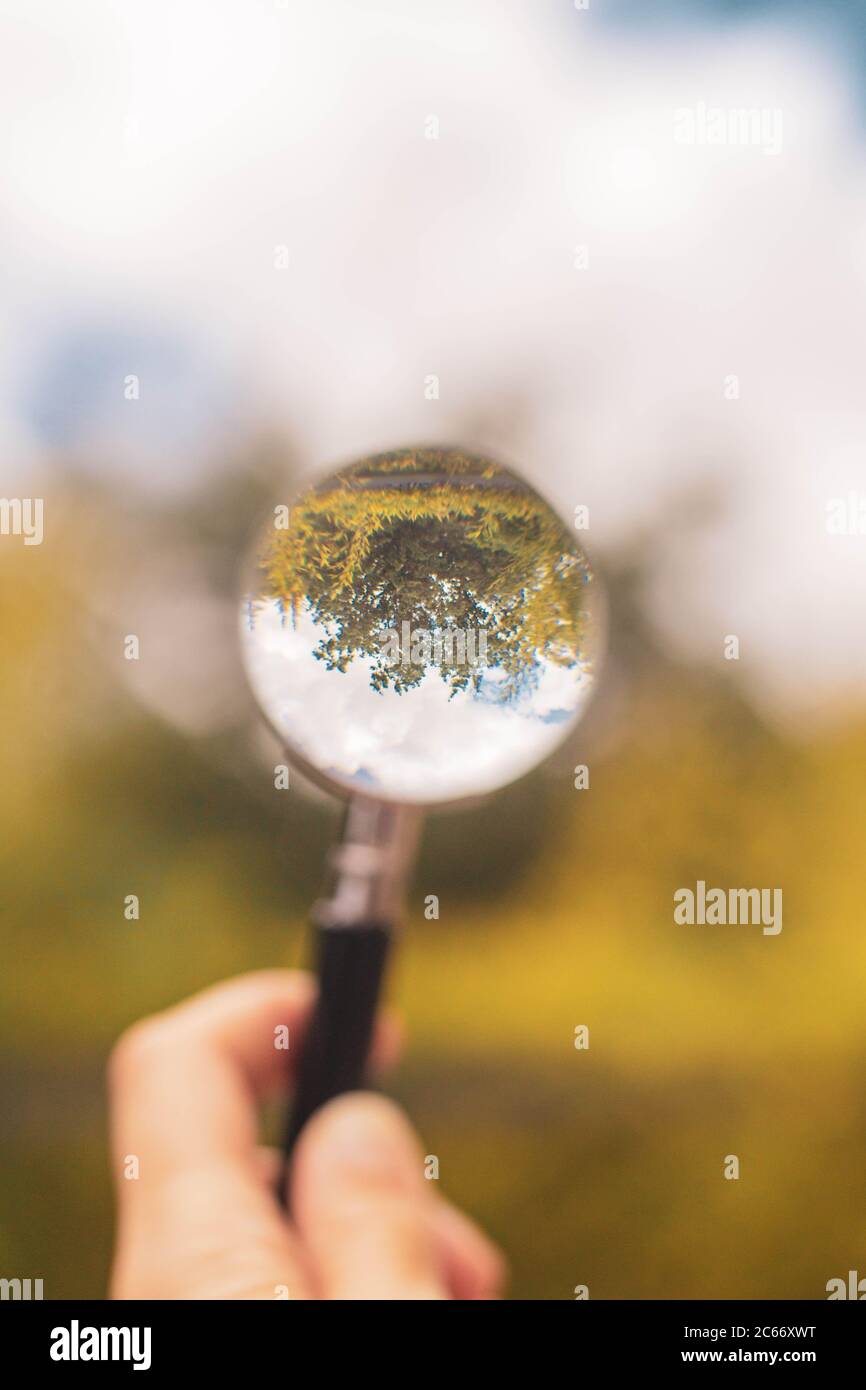 lente di ingrandimento che punta al campo con alberi contro cielo blu Foto Stock