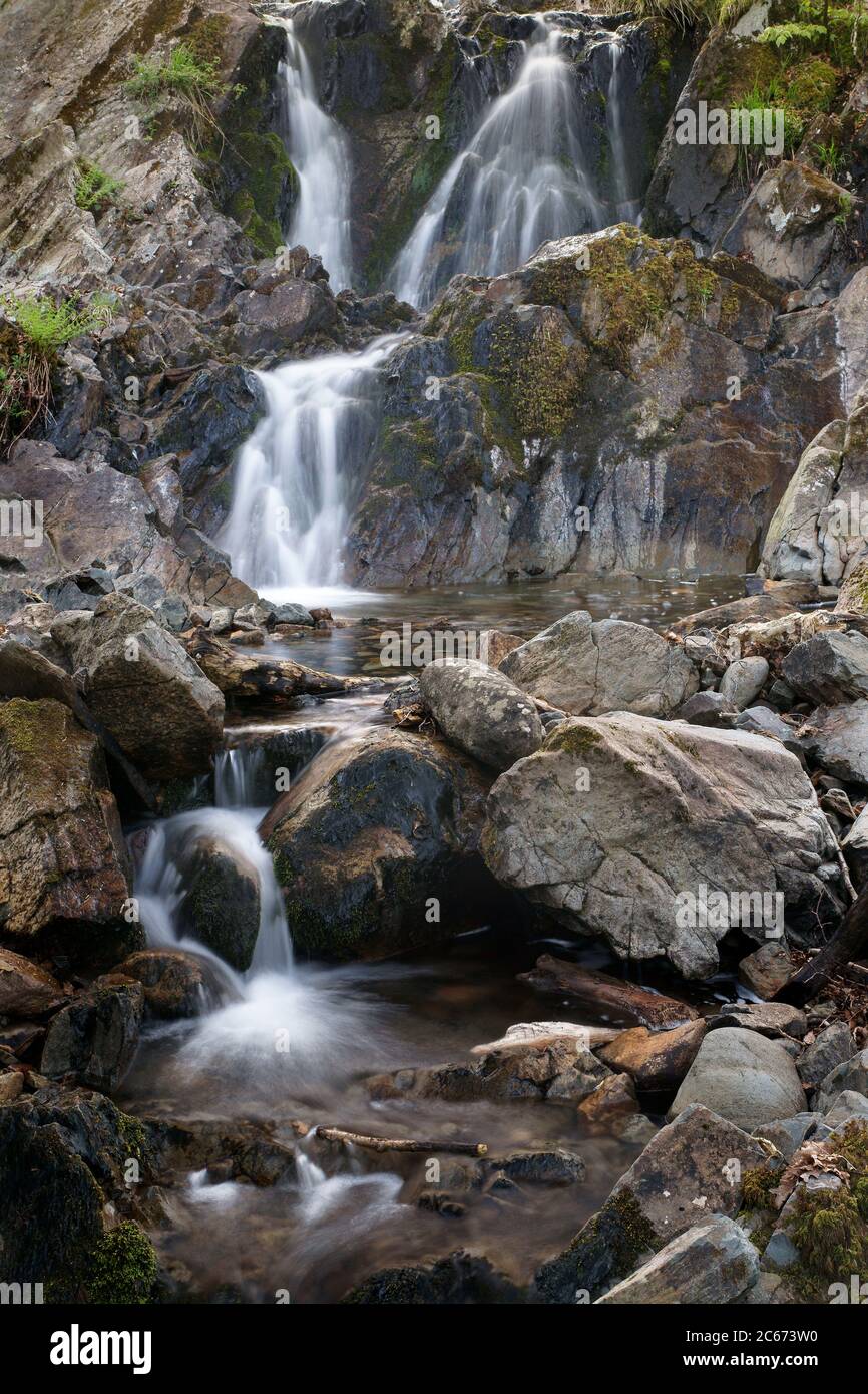 Le cascate inferiori di Tom Gill si trovano in primavera, vicino a Tarn Hows. Lake District, Cumbria, Inghilterra, Regno Unito. Foto Stock