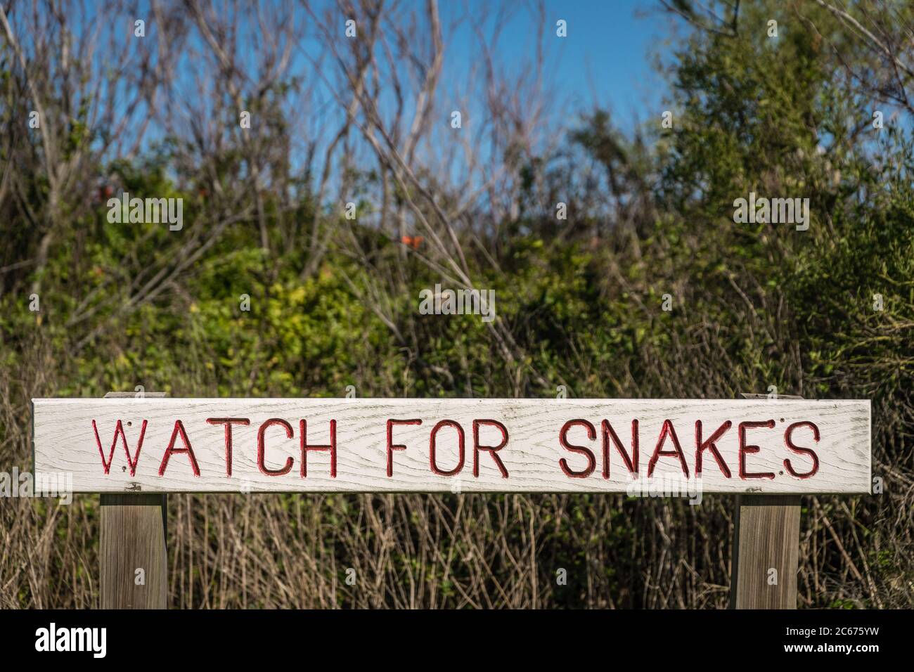 Primo piano di accesso in terra pubblica lettura 'Watch for Snakes' Foto Stock