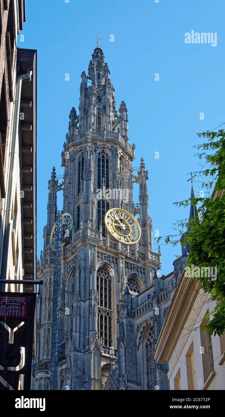 Guglia della Cattedrale di nostra Signora; 1518, 415 piedi, due orologi;  ponteggi stretti a orologio, guglie, chiesa cattolica, ornato, edificio  religioso, Fiandre, Euro Foto stock - Alamy