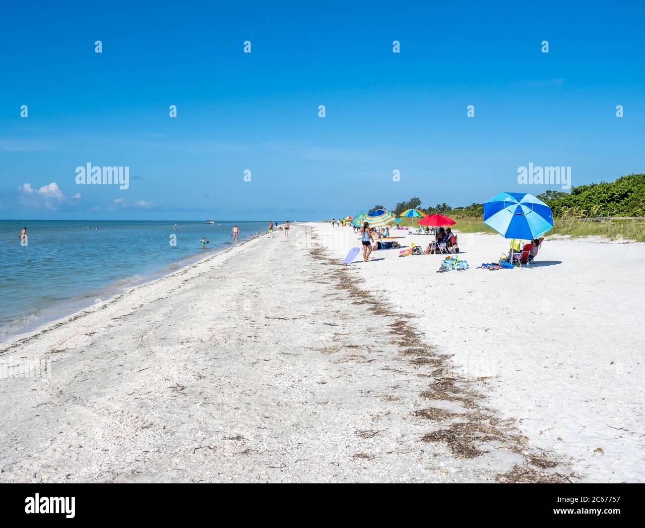 Spiaggia nel Lighthouse Beach Park sulla punta orientale dell'isola di Sanibel sul Golfo del Messico negli Stati Uniti Foto Stock