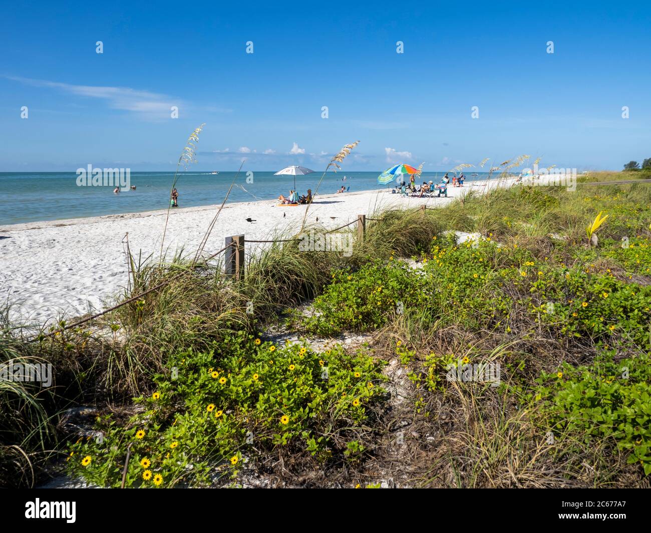 Spiaggia nel Lighthouse Beach Park sulla punta orientale dell'isola di Sanibel sul Golfo del Messico negli Stati Uniti Foto Stock