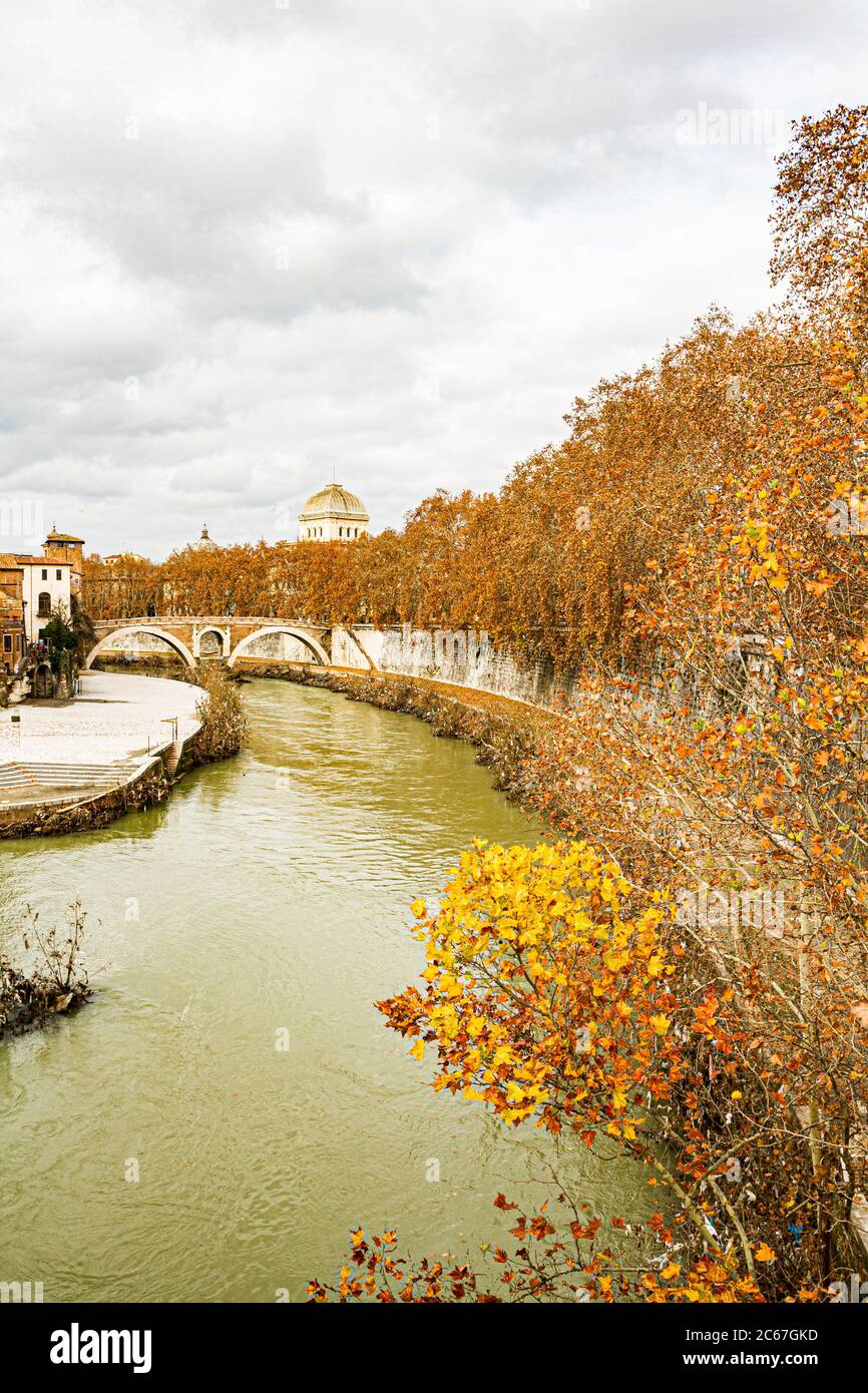 Alberi sulla riva del fiume Tevere in inverno. Roma, Provincia di Roma, Italia. Foto Stock