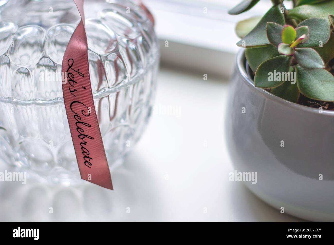 Contenitore decorativo in vetro retrò con un motivo con un nastro rosa con testo festeggiamo accanto ad una succulenta pianta domestica su un davanzale bianco. Foto Stock