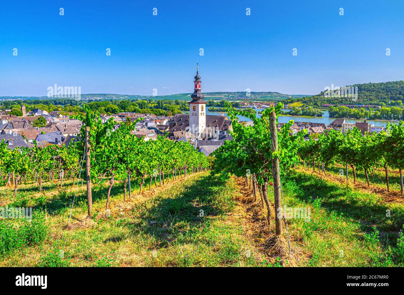 Vista aerea dei vigneti regione vinicola del Rheingau, centro storico di Rudesheim am Rhein con la chiesa di San Jakobus e il fiume Reno, cielo blu sfondo, Renania-Palatinato e stati dell'Assia, Germania Foto Stock