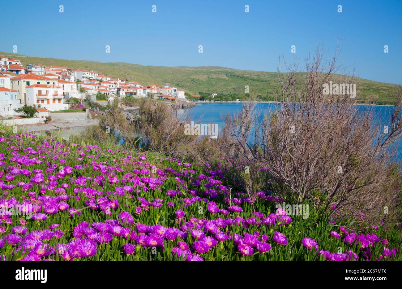 Lussureggiante primavera fiorente sulla costa di Lebos Foto Stock