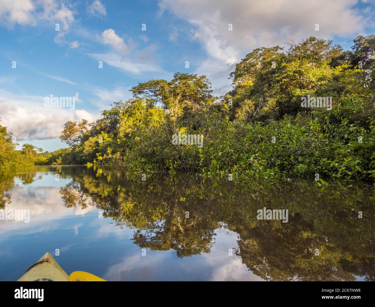 Vista della Laguna di Coati vicino al fiume Javari, tributario del fiume Rio delle Amazzoni, Amazonia. Selva sul confine del Brasile e Perù. Sud America. Foto Stock