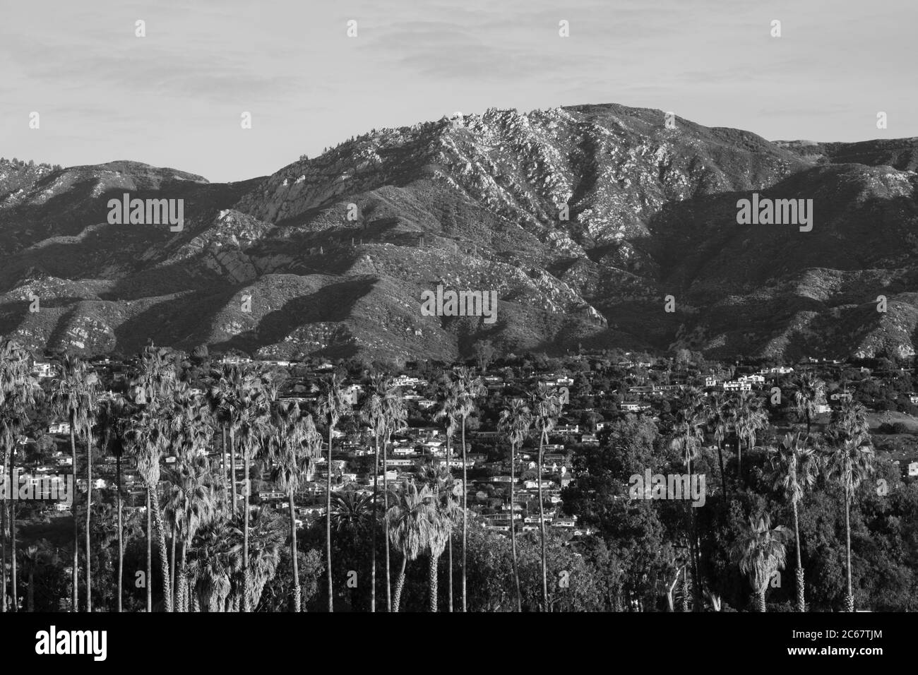 Palme contro le case della città che si trovano ai piedi della collina, Santa Barbara, California, Stati Uniti Foto Stock