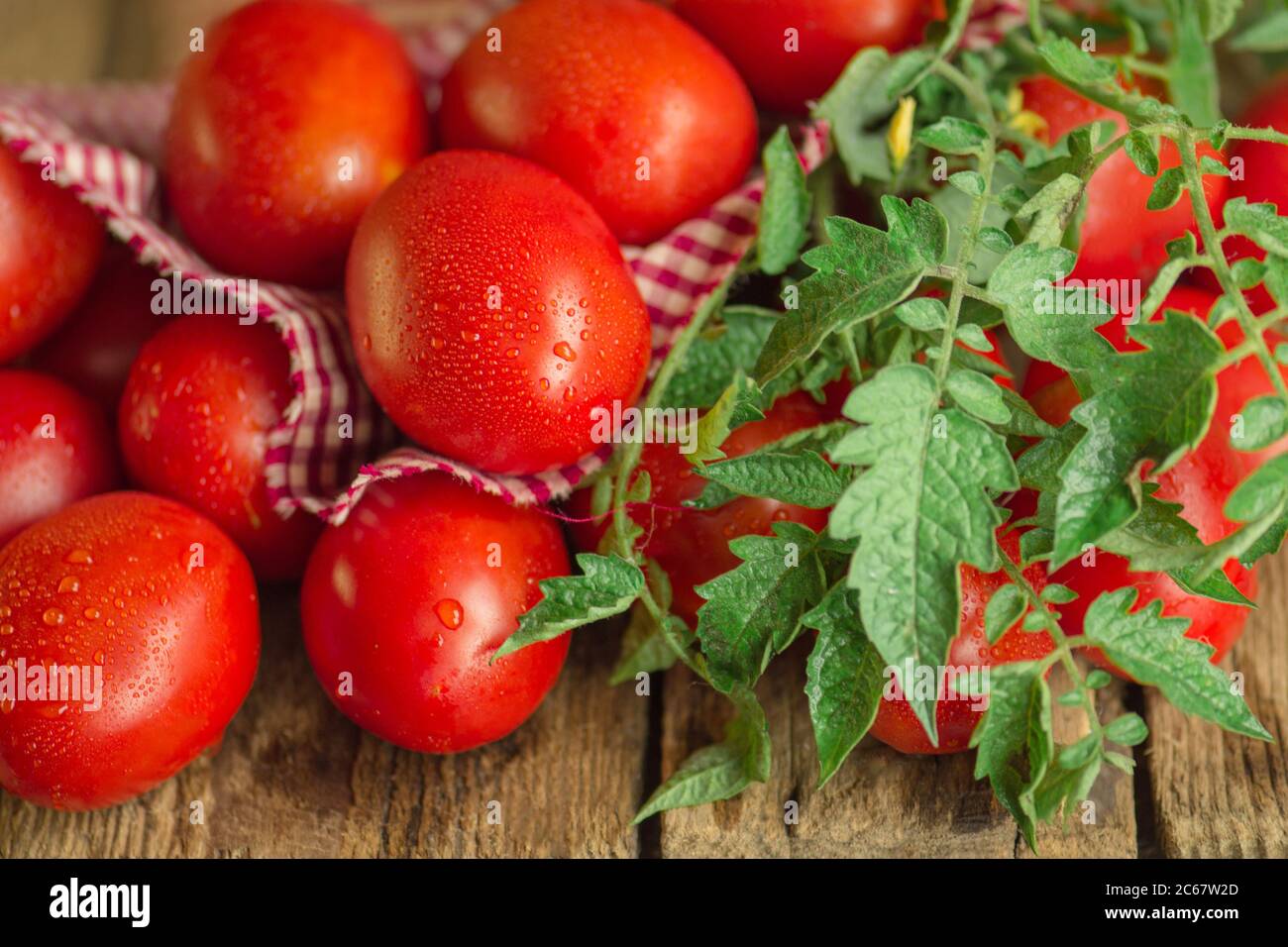 Concetto di prodotto naturale. Pomodori prugnoli lunghi freschi con tovagliolo rosso scacchiato. Foto Stock