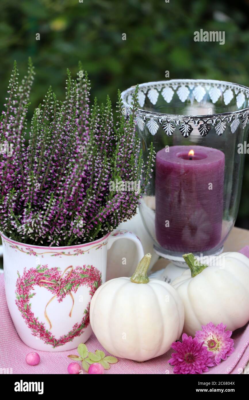 decorazione autunnale con fiore di erica, zucche bianche e lanterna da tavolo Foto Stock