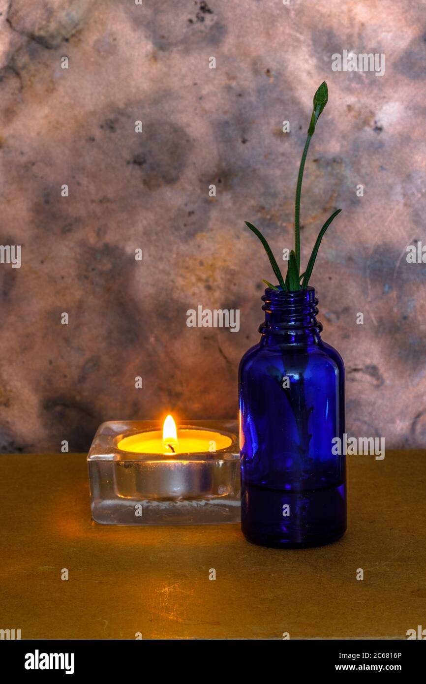 Questa è una piccola bottiglia blu con un taglio di lavanda e bij illuminato una piccola candela può essere usata come un'immagine di lutto quando qualcuno è passato via. Foto Stock