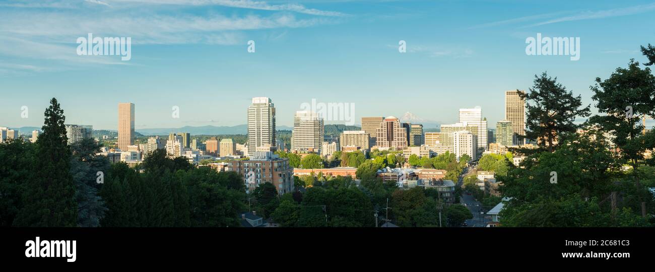 Alberi contro lo skyline della città, Portland, Oregon, Stati Uniti Foto Stock