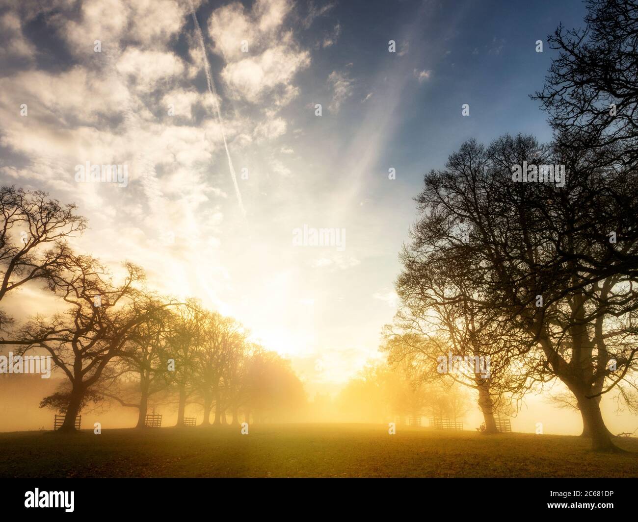 Nebbia che lentamente si brucia nel parco di Lowther, ai margini del Lake District, Cumbria. Foto Stock