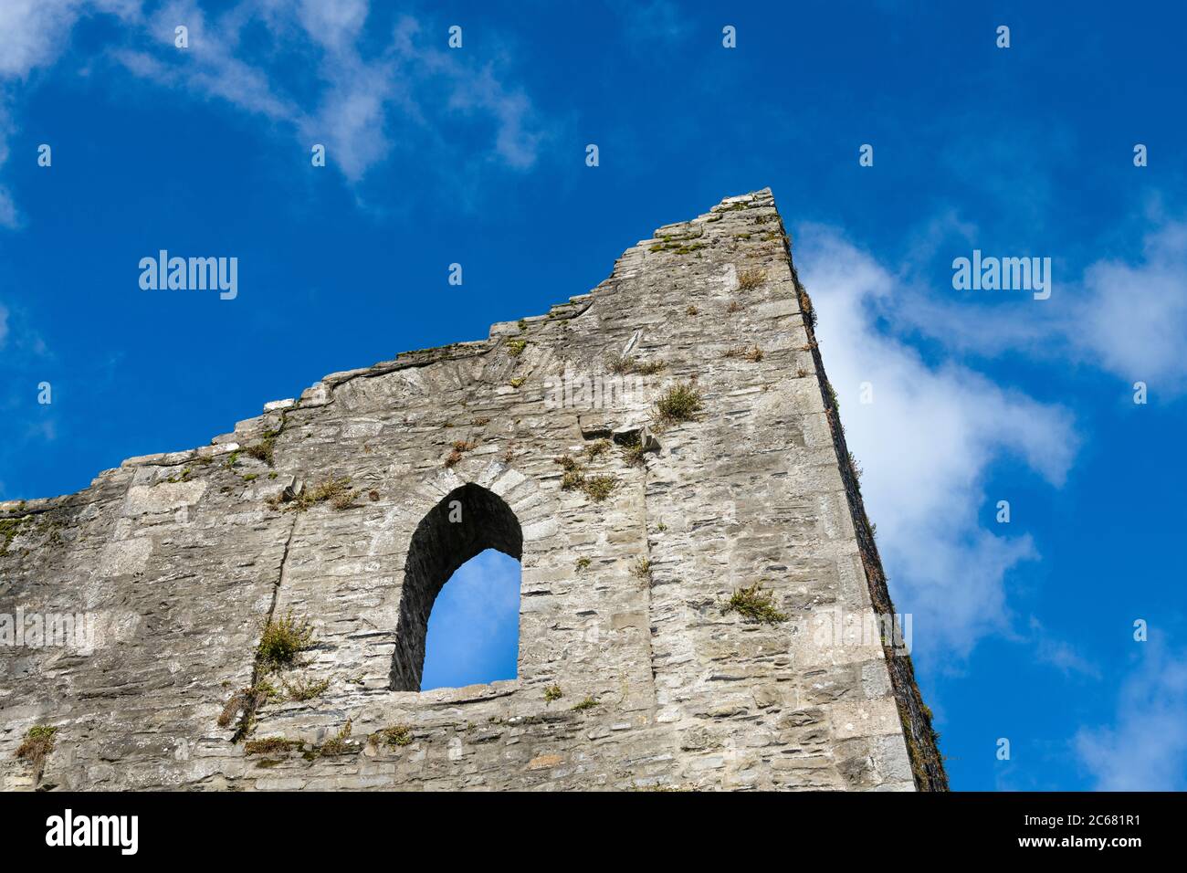 Primo piano di rovine del castello di Maynooth, Maynooth, County Kildare, Irlanda Foto Stock