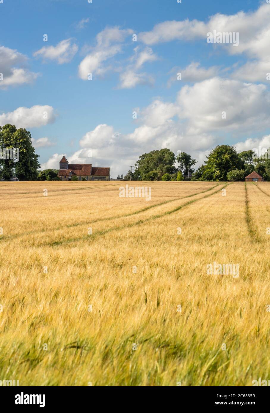 Vista sui campi dorati in estate nella campagna dell'Hampshire con la Chiesa di Farley All Saints sullo sfondo, Farley, Hampshire, Inghilterra, Regno Unito Foto Stock
