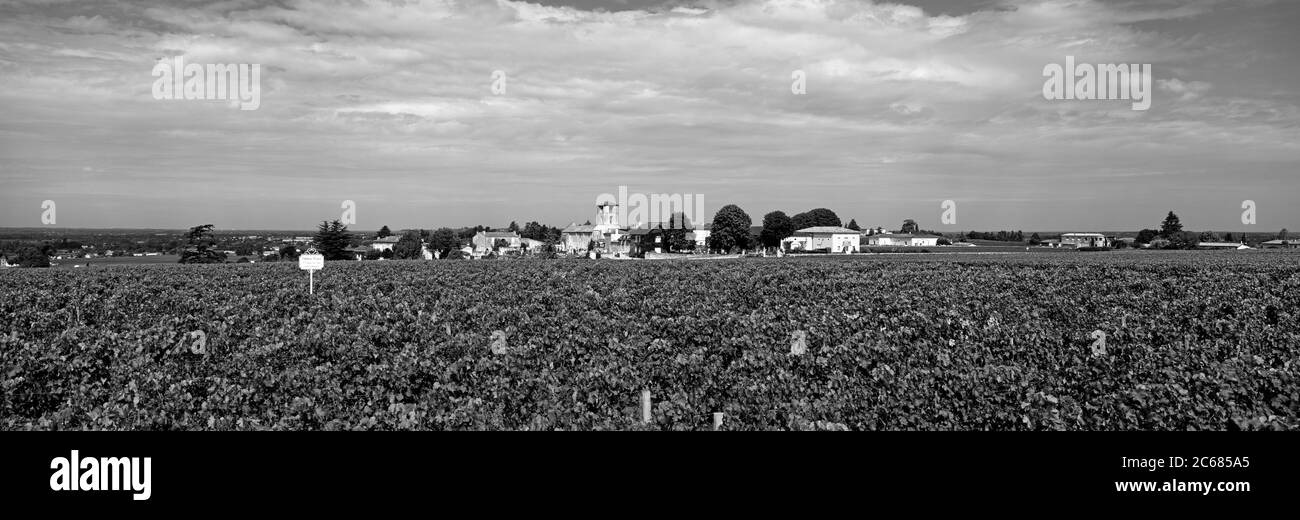 Vigneti vicino Bordeaux nella piccola città di Saint-Emilion, Gironda, Francia Foto Stock