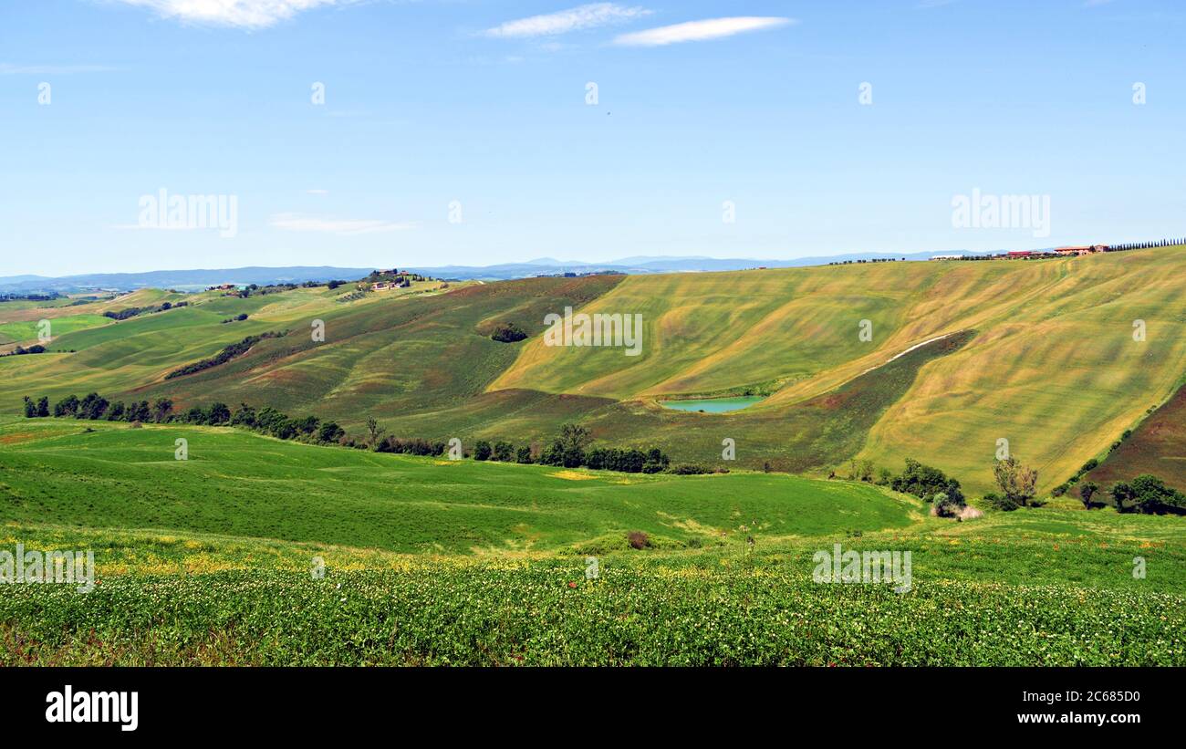 Paesaggio naturale delle Crete Senesi nei pressi di Asciano nella campagna toscana a Siena. Foto Stock