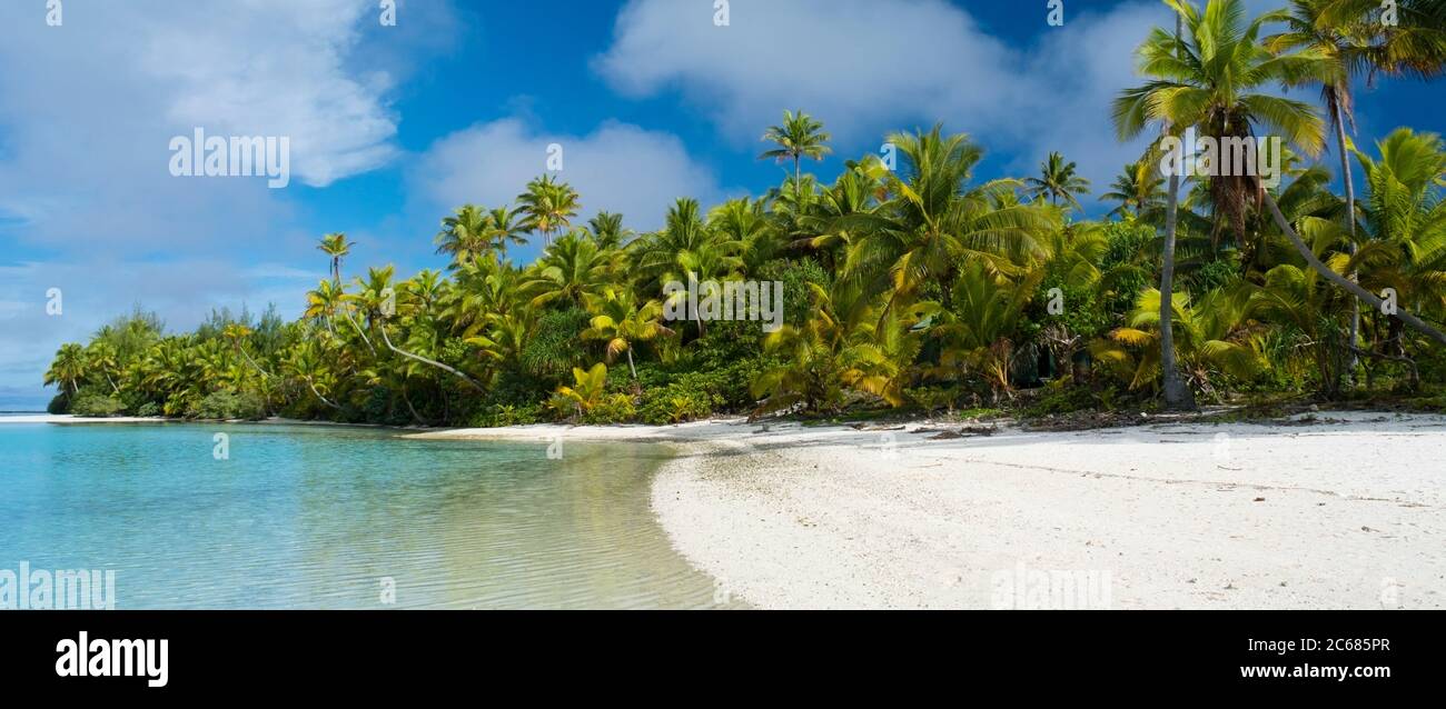 Palme da cocco e vegetazione sulla spiaggia tropicale, Tapuaetai Motu nella Laguna di Aitutaki, Aitutaki, Isole Cook Foto Stock