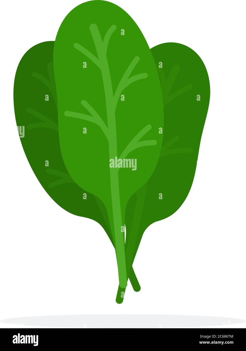 Foglie di spinaci Illustrazione Vettoriale