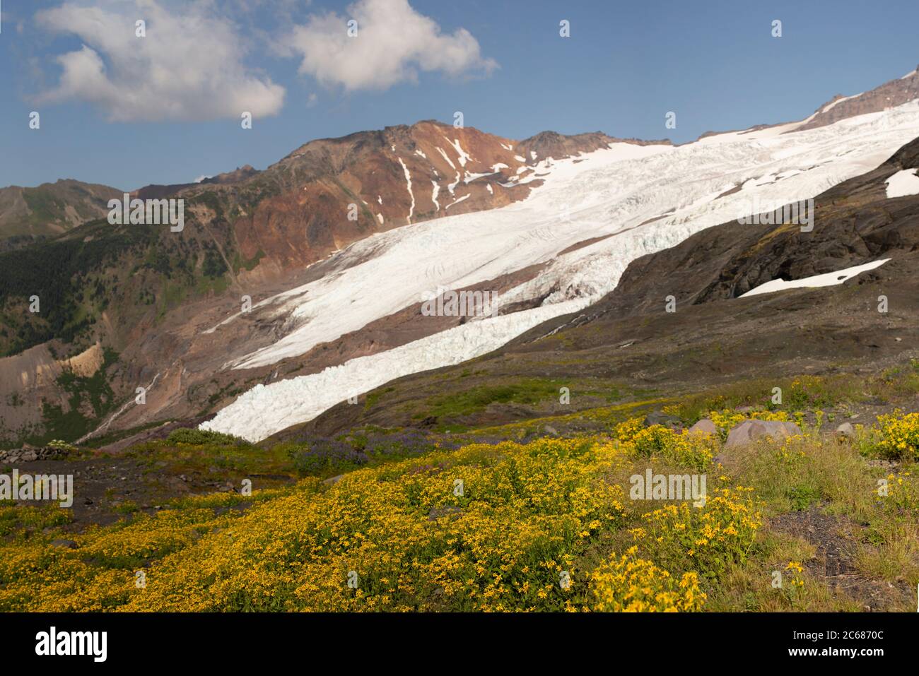 Monte Baker - Snoqualmie foresta nazionale alpina in estate Foto Stock