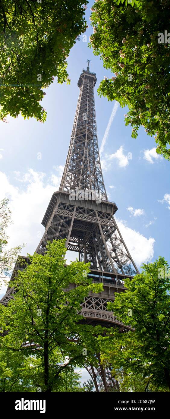 Vista della Torre Eiffel, Parc du Champ-de-Mars, Parigi, Francia Foto Stock
