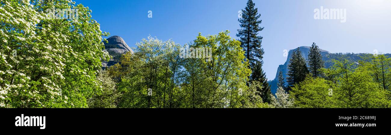 Vista dell'Half Dome e del Quarter Dome in primavera, Yosemite National Park, California, USA Foto Stock