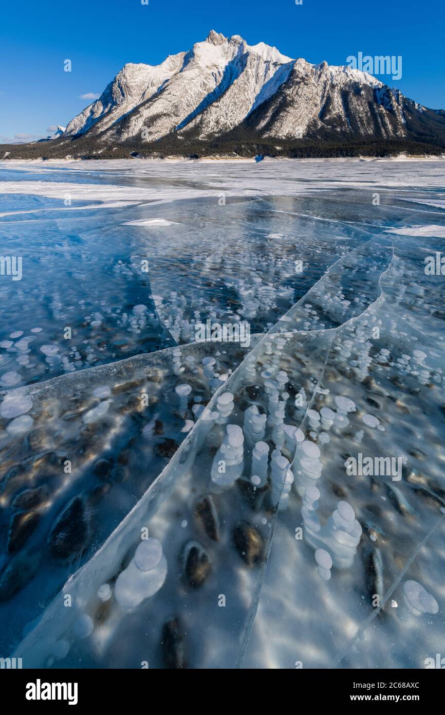 Bolle di metano congelate in ghiaccio sotto il Monte Michener, Abraham Lake, Alberta, Canada Foto Stock