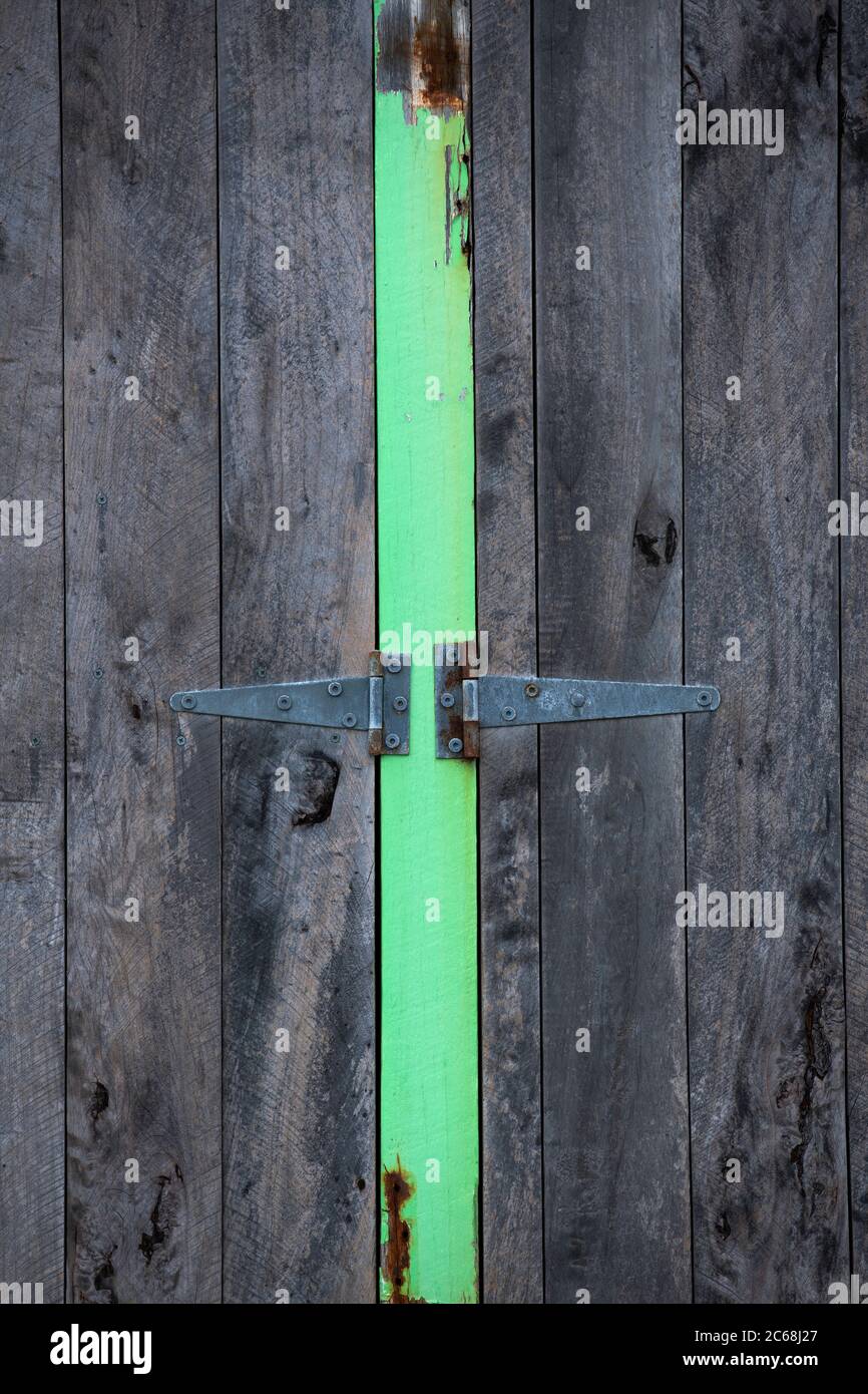 striscia verde su pannelli di porte in legno che mostrano cerniere metalliche sulla spiaggia capanna nord ovest tasmania australia Foto Stock