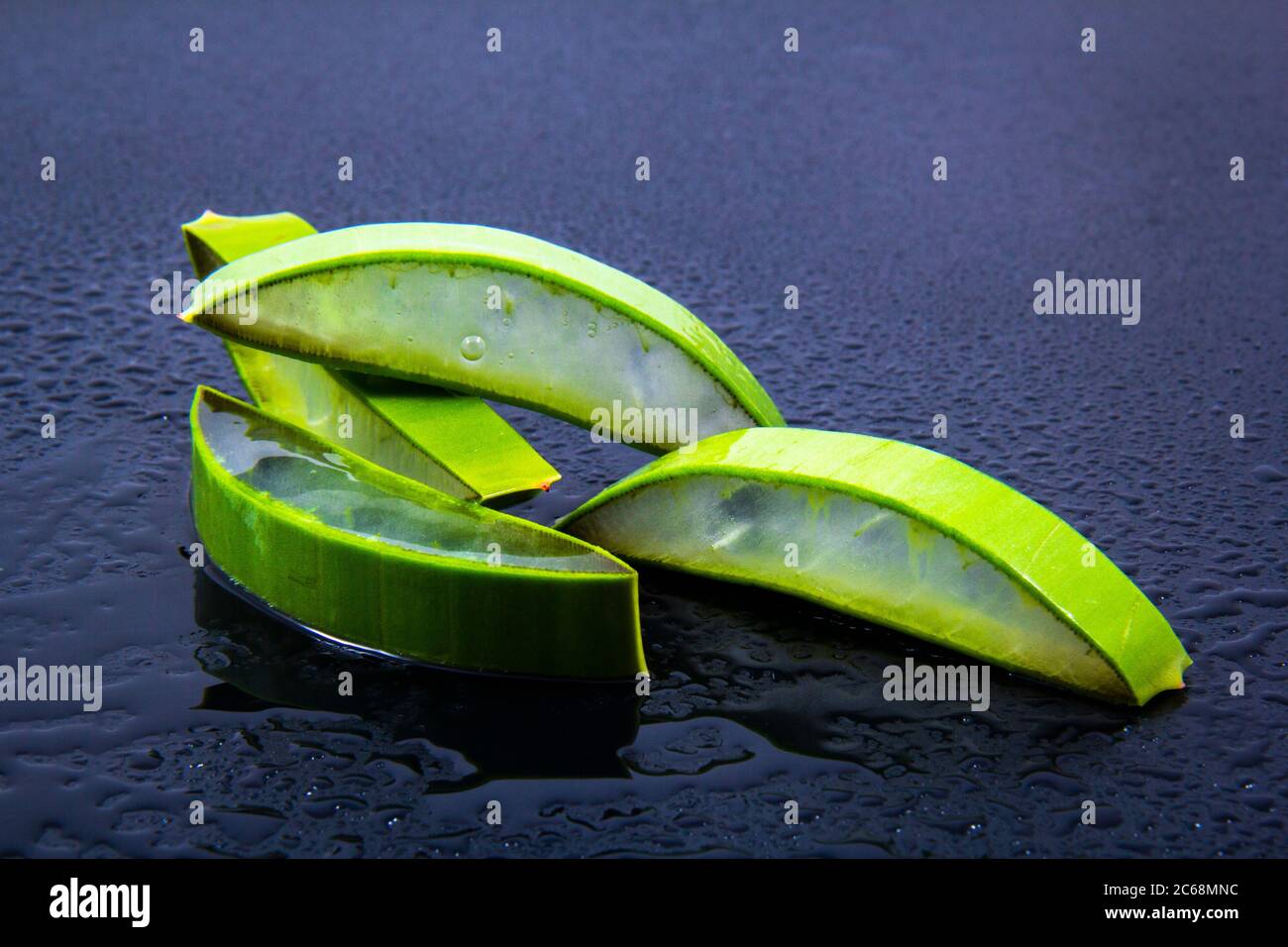 Alcune sezioni di aloe vera che è stato fatto tagliando una foglia di aloe vera Foto Stock