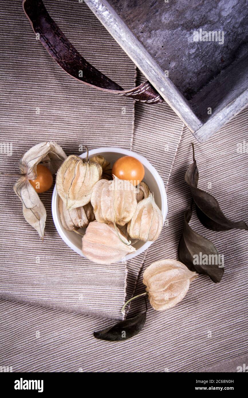 boccale di mare, fiori e foglie secche dentro e intorno a una ciotola di ceramica. Foto Stock