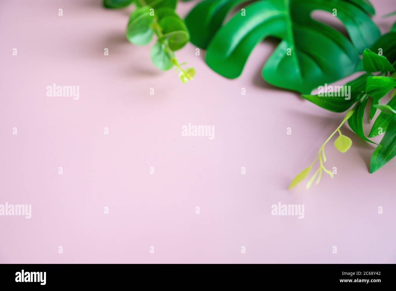 Vista dall'alto della verde natura tropicale foglia su rosa pastello stile vintage tono astratto sfondo con spazio copia. Foto Stock