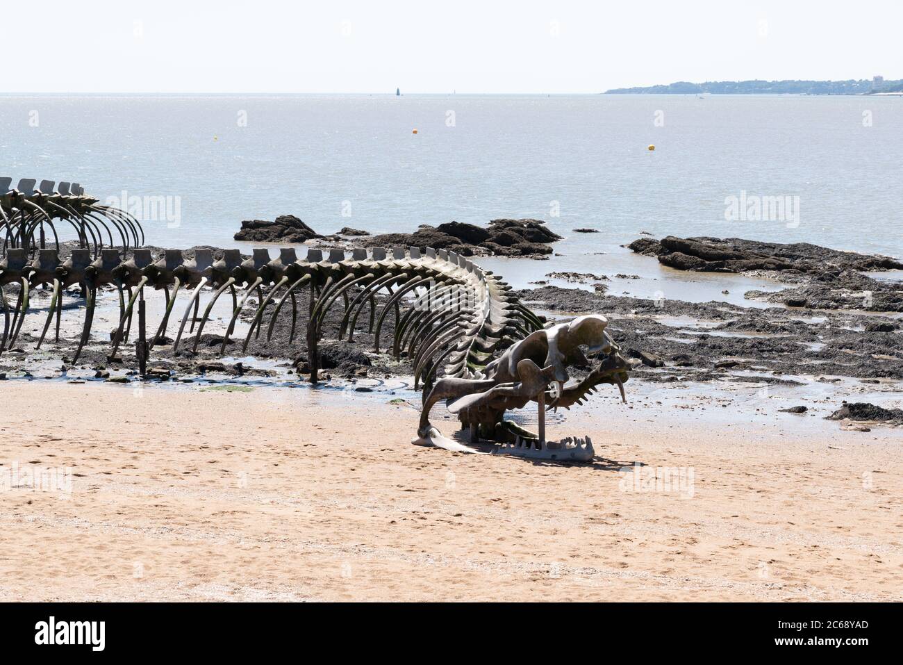 Saint-Brevin , Aquitaine / Francia - 04 26 2020 : Arte del serpente dell'oceano a Saint Brévin les Pins spiaggia di sabbia estuario della Loira francese costa atlantica Francia Foto Stock