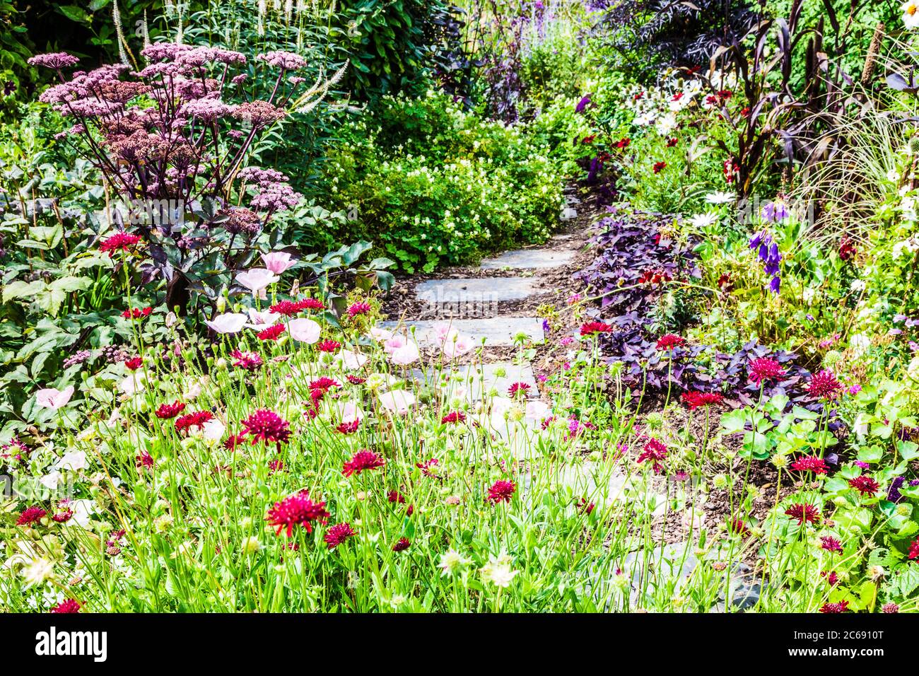 Un percorso giardino tra arbusto e confini erbacei in un giardino di campagna inglese. Foto Stock