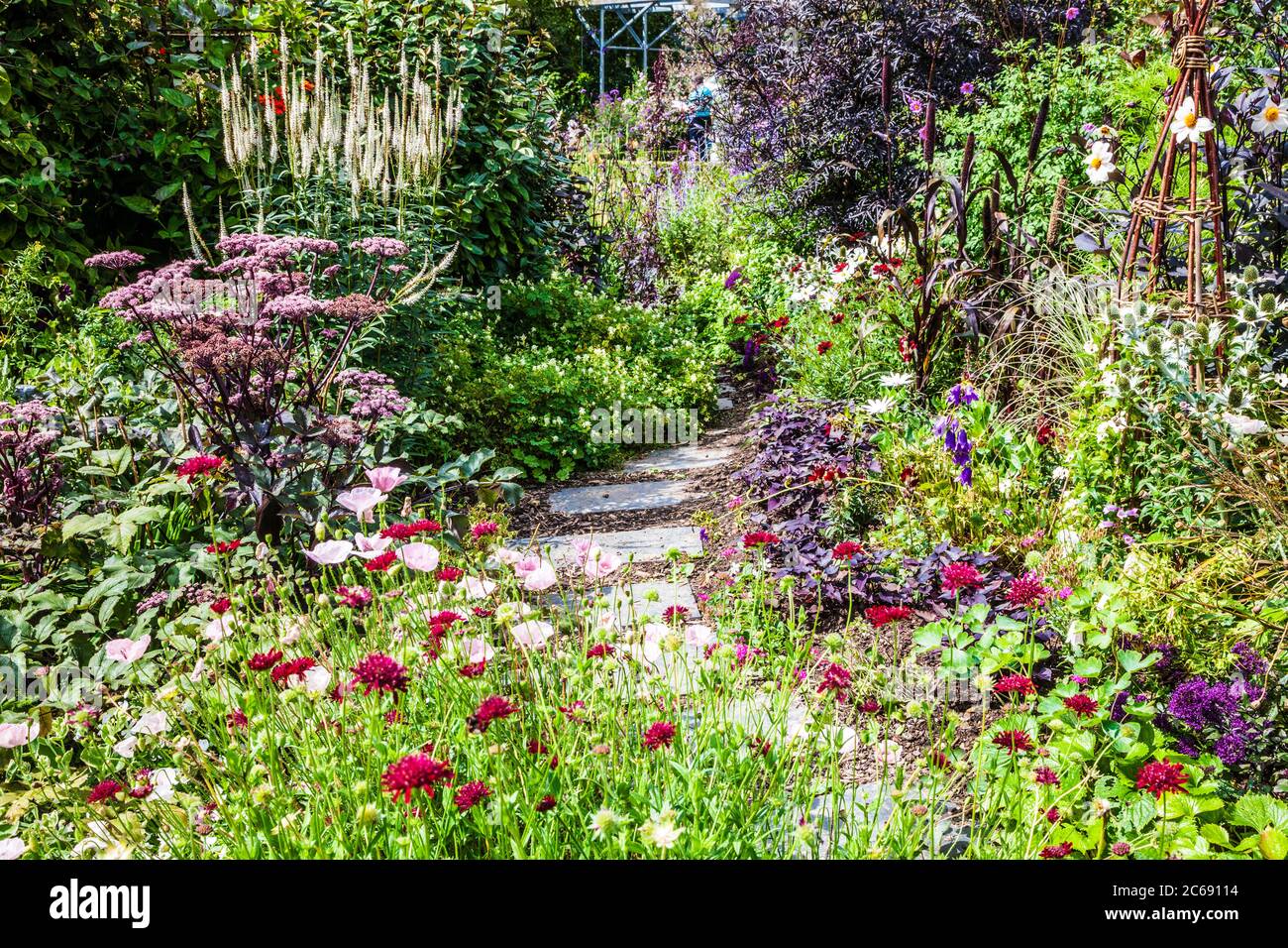 Un percorso giardino tra arbusto e confini erbacei in un giardino di campagna inglese. Foto Stock