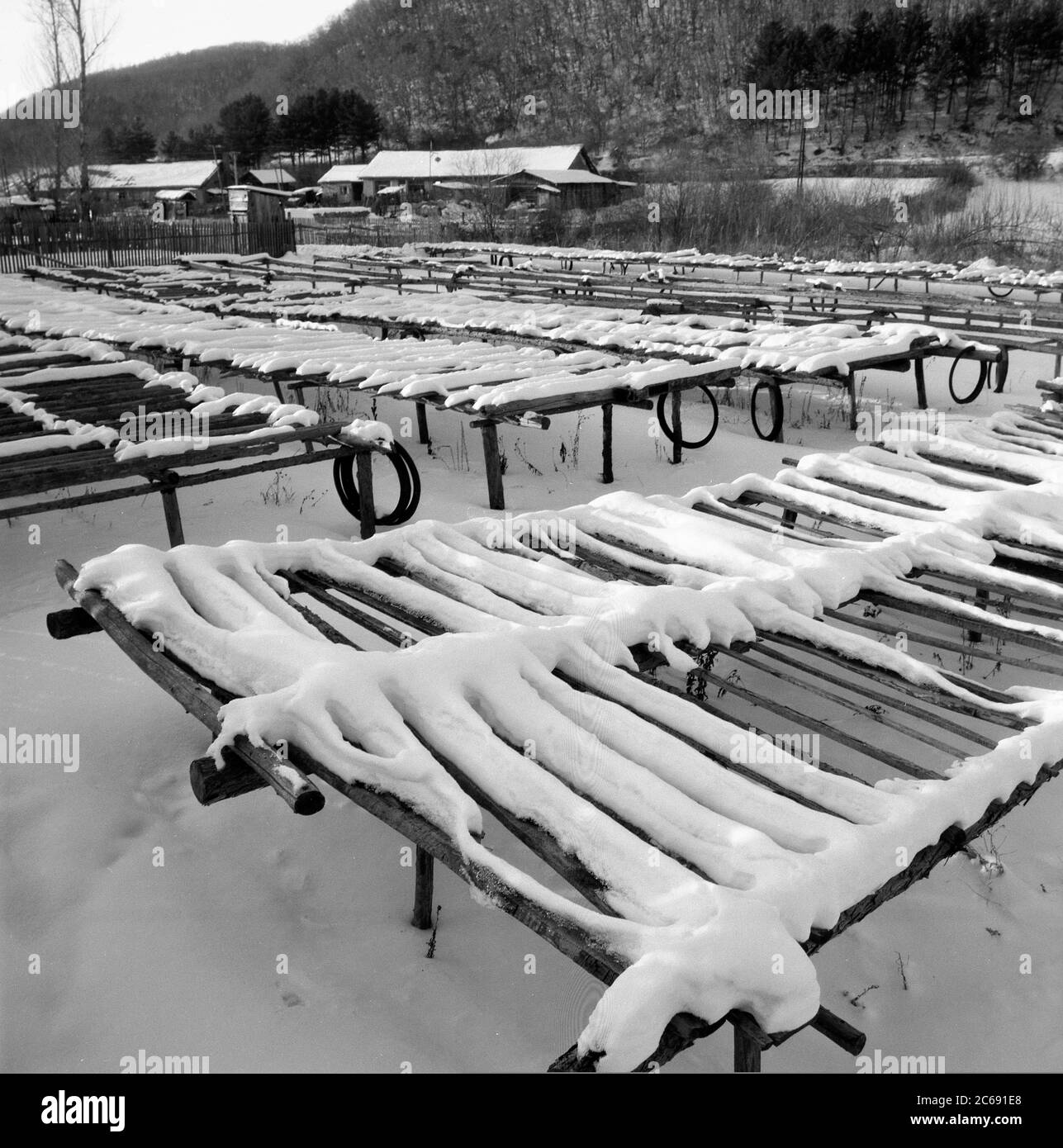 Fanganjiang assedio nord-est di neve foresta Foto Stock