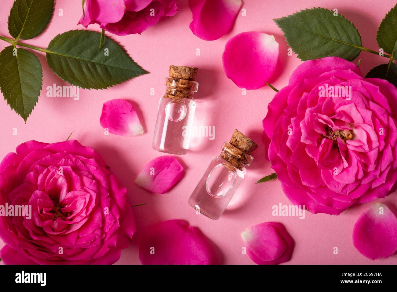 acqua di rosa o olio essenziale in bottiglie di vetro con fiori di rosa e petali freschi su sfondo rosa. vista dall'alto Foto Stock