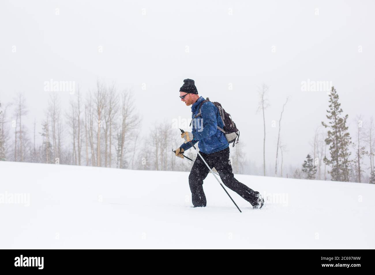 Sci di fondo uomo nella neve profonda, Wyoming, USA Foto Stock