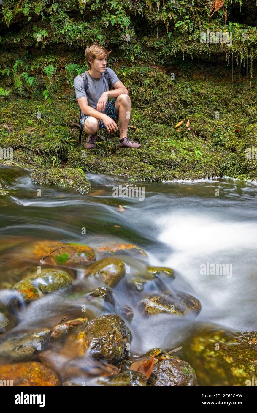 Un giovane (MR) si accovacciava accanto a un piccolo ruscello che attraversa una foresta nella parte settentrionale di Maui, Hawaii. Foto Stock