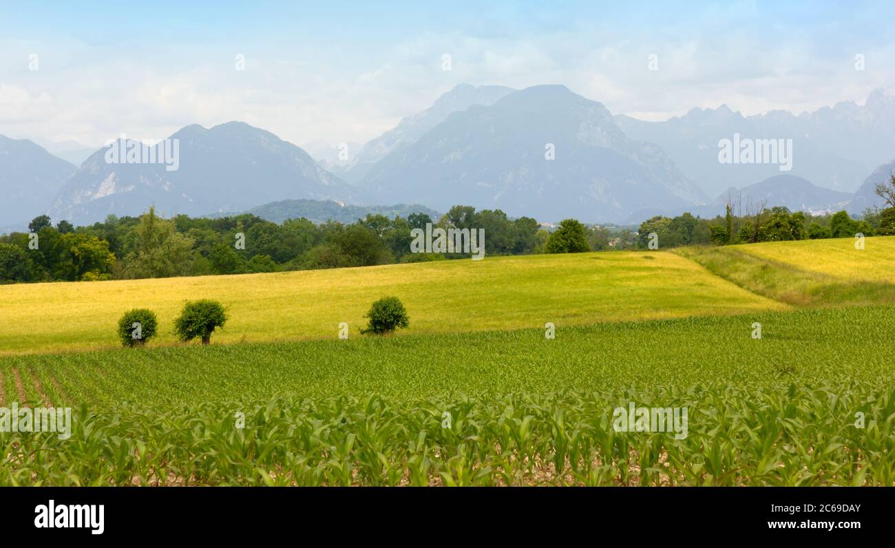 Paesaggio rurale circondato da montagne, con tre piccoli alberi nel mezzo di un campo Foto Stock