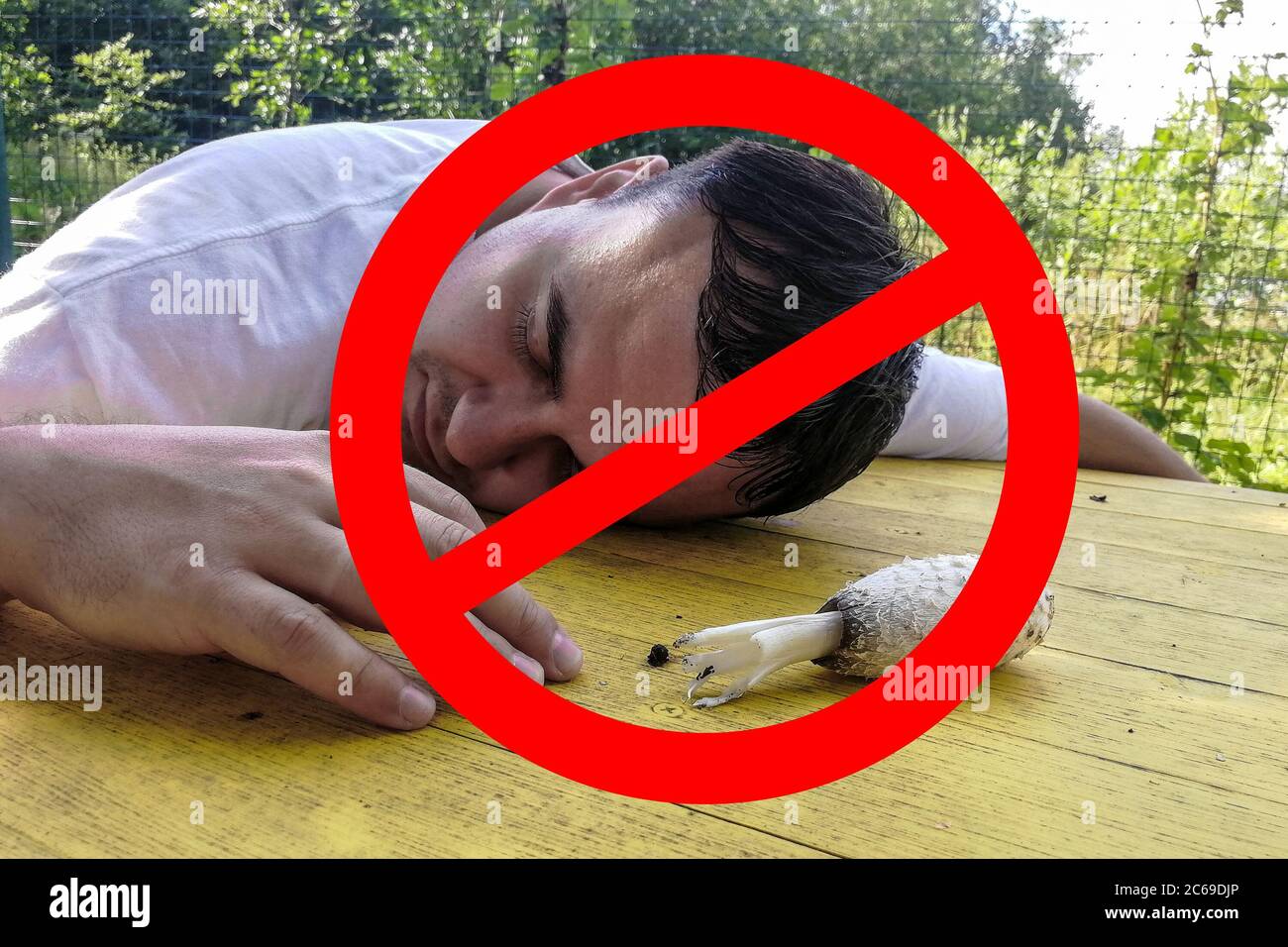 vietato mangiare funghi velenosi. segno di divieto. fungo velenoso giace sul tavolo e un uomo adulto inconscio con gli occhi chiusi, avvelenamento Foto Stock