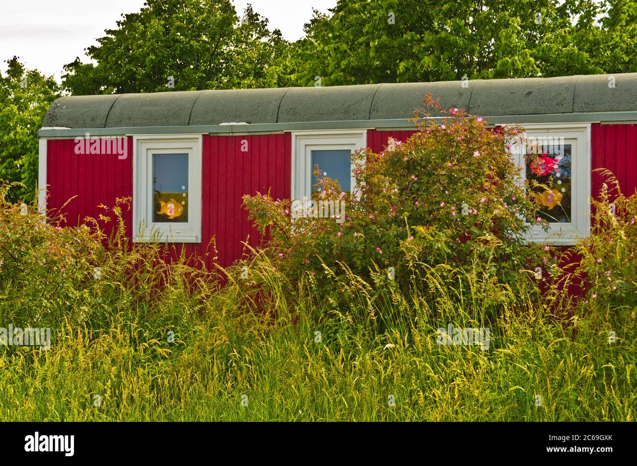 Un piccolo capanno rosso chiaro, sito caravan nella natura, con alcune immagini colorate nelle finestre Foto Stock