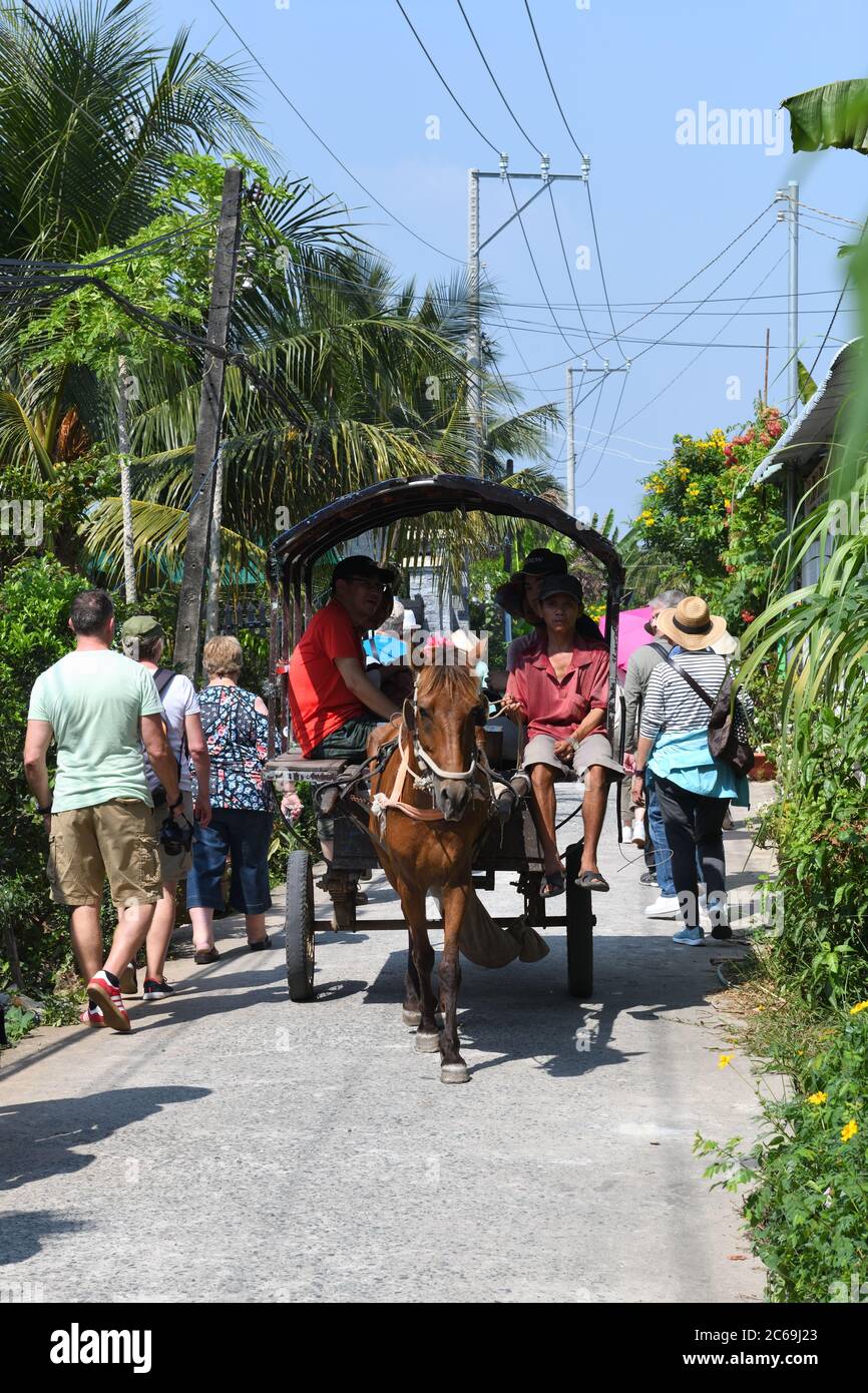Un cavallo e un carrello che dà ai turisti passeggiate sulla strada stretta dell'Isola Unicorn (Cù lao Thới Sơn) My Tho, Vietnam. Foto Stock