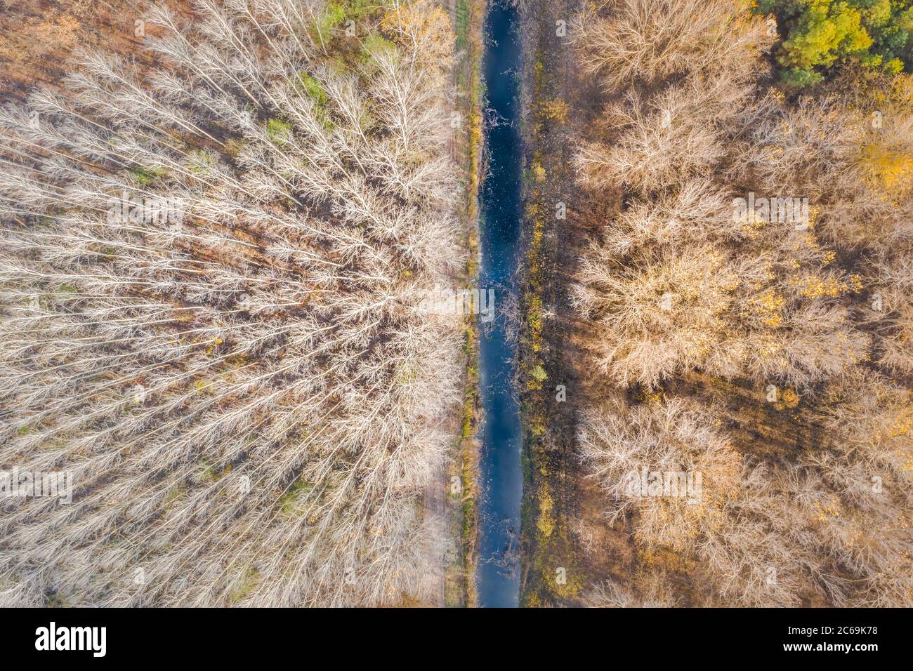 Paesaggio asciutto dell'autunno, vista aerea del campo e della foresta, paesaggio artistico. Vista aerea dall'alto del campo in autunno. Texture campo in autunno Foto Stock